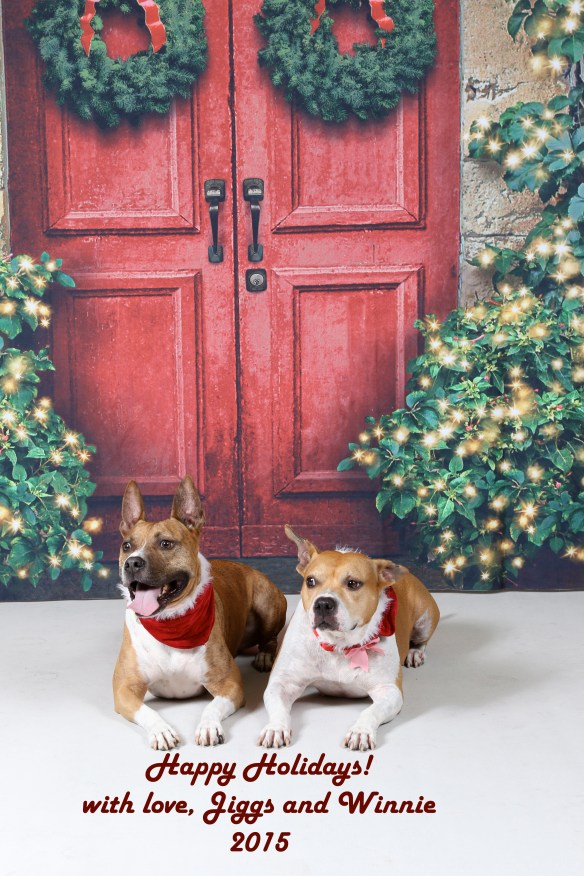 winnie and jiggs copy