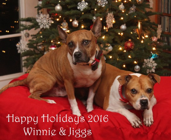 winnie-and-jiggs-with-date