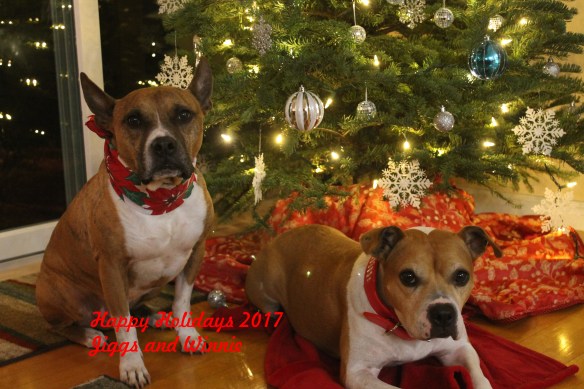 winnie and jiggs with date