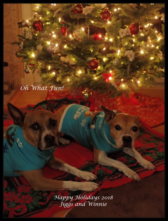 winnie and jiggs with date